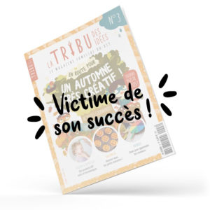 Magazine La Tribu des Idées n°3