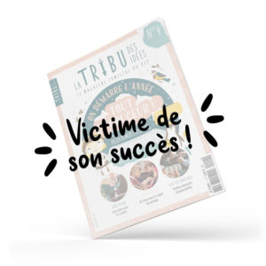 Magazine La tribu des Idées n°4