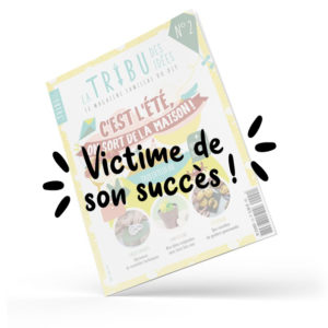 Magazine La tribu des Idées n°2