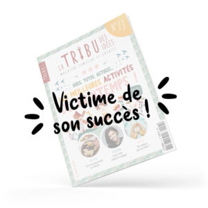 Magazine La tribu des Idées n°13