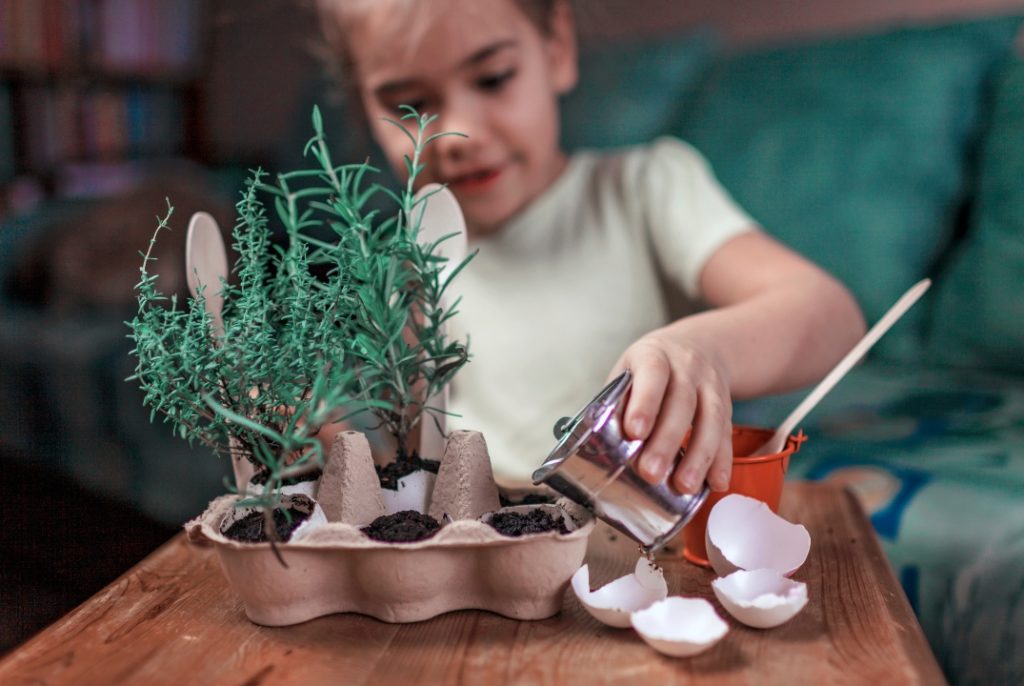 plantes chambre bébé