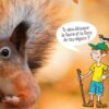 decouvrir-la-faune-et-la-flore-avec-ekolien-et-la-tribu-des-idees