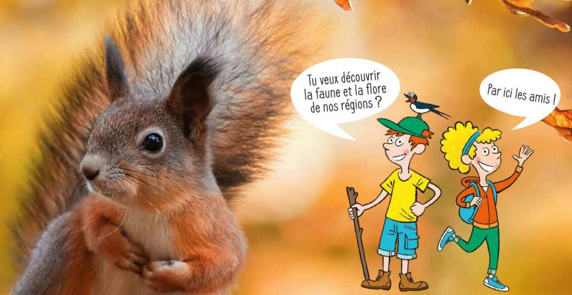 decouvrir-la-faune-et-la-flore-avec-ekolien-et-la-tribu-des-idees