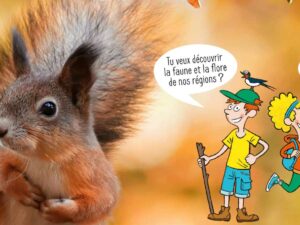 decouvrir-la-faune-et-la-flore-avec-ekolien-et-la-tribu-des-idees