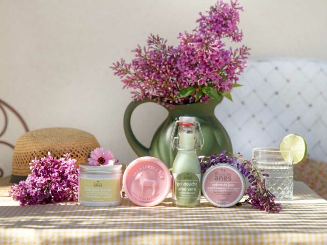 au pays des anes cosmetiques au lait d'anesse la tribu des idees